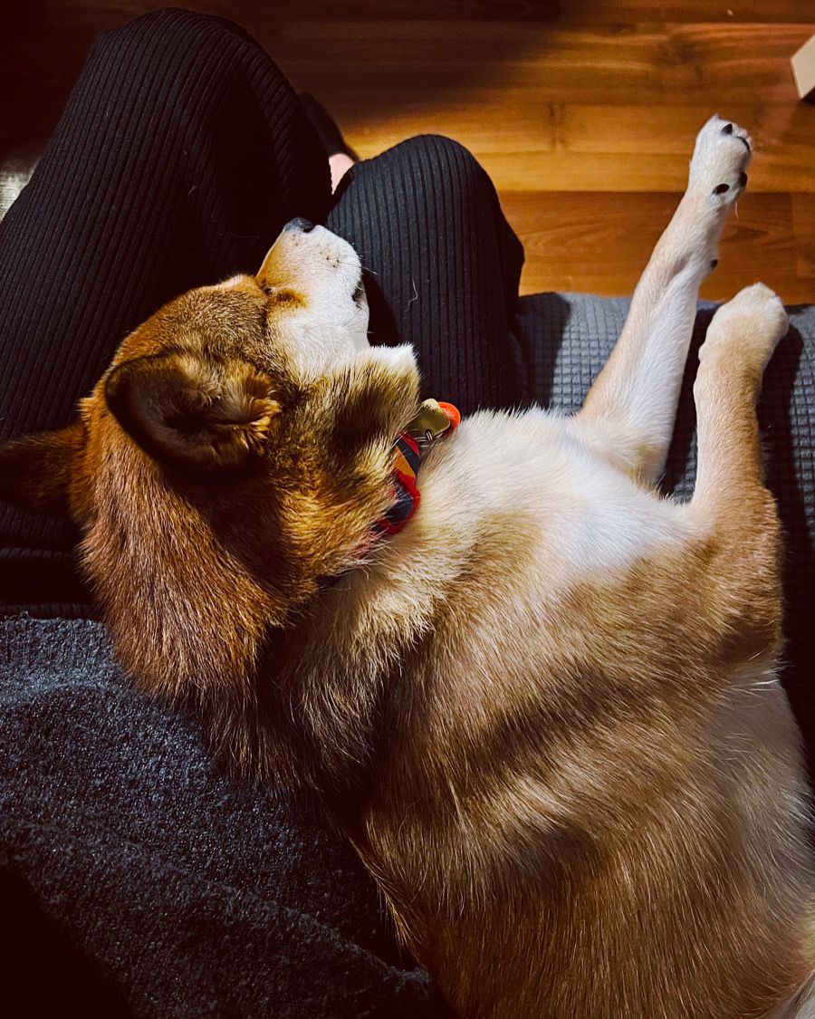 Sleepy…