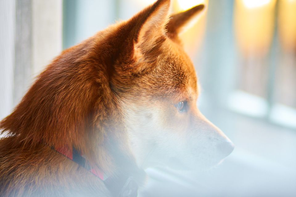 By the window...
